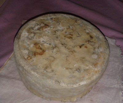 faccia muffosetta / 20150311_075821.jpg 20150311_075821.jpg