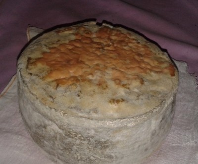 faccia umidiccia / 20150311_075805.jpg 20150311_075805.jpg