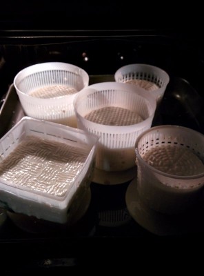 In stufatura / IMG_20150403_01.jpg IMG_20150403_01.jpg