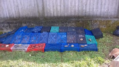 1.jpg (244.39 KiB) Osservato 1749 volte 1.jpg