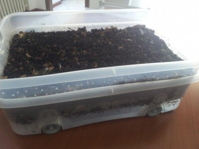 20161223_110716.jpg (61.58 KiB) Osservato 3195 volte 20161223_110716.jpg