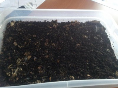 20161223_110722.jpg (79.93 KiB) Osservato 3195 volte 20161223_110722.jpg