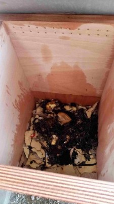 IMG-20220410-WA0039_compress11.jpg (68.87 KiB) Osservato 6336 volte IMG-20220410-WA0039_compress11.jpg