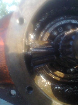 Foto0099.jpg (44.27 KiB) Osservato 7324 volte Foto0099.jpg