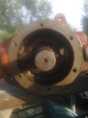 Foto0098.jpg (43.74 KiB) Osservato 7324 volte Foto0098.jpg