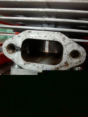 pistone / dece cinese 1.jpg dece cinese 1.jpg