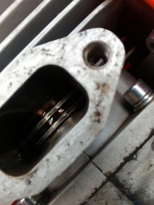 fasce / dece cinese 3.jpg dece cinese 3.jpg