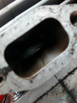 cielo pistone / dece cinese 4.jpg dece cinese 4.jpg