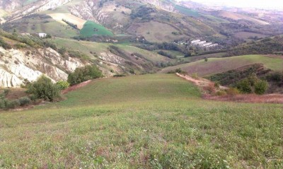 thumbnail_IMG_0018.jpg (140.76 KiB) Osservato 680 volte thumbnail_IMG_0018.jpg