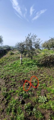 2025-04-13 09.53.36.jpg (102.62 KiB) Osservato 1501 volte 2025-04-13 09.53.36.jpg