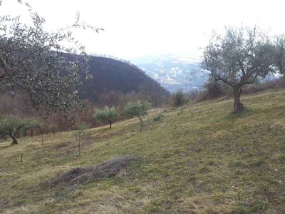 2.jpg (63.35 KiB) Osservato 1697 volte 2.jpg