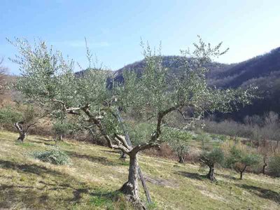 3.jpg (70.34 KiB) Osservato 1624 volte 3.jpg