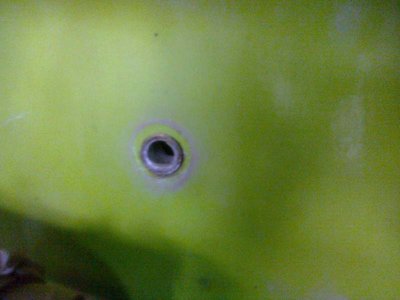 Foto0031.jpg (55.84 KiB) Osservato 953 volte Foto0031.jpg