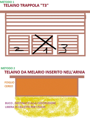 1212121221.gif (77.27 KiB) Osservato 7893 volte 1212121221.gif
