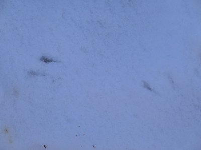 CIMG0664_S.jpg (172.2 KiB) Osservato 2292 volte CIMG0664_S.jpg