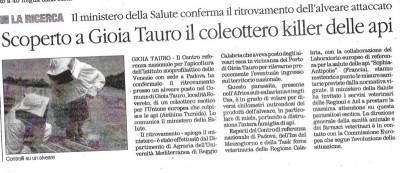 coleottero killer.jpg (233.33 KiB) Osservato 3615 volte coleottero killer.jpg