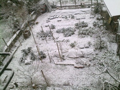 neve.jpg (241.62 KiB) Osservato 2713 volte neve.jpg