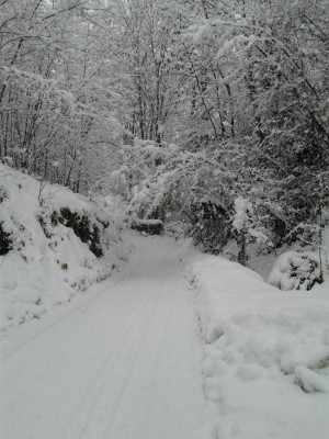 IMG-20171202-WA0010.jpg (130.55 KiB) Osservato 417 volte IMG-20171202-WA0010.jpg