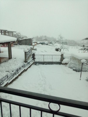 IMG-20171202-WA0006.jpg (64.74 KiB) Osservato 458 volte IMG-20171202-WA0006.jpg