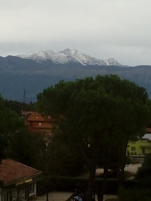 IMG_20200926_082159.jpg (54.36 KiB) Osservato 428 volte IMG_20200926_082159.jpg