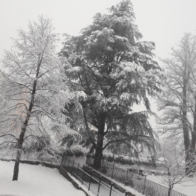 IMG_20210104_133852_284.jpg (245.64 KiB) Osservato 355 volte IMG_20210104_133852_284.jpg