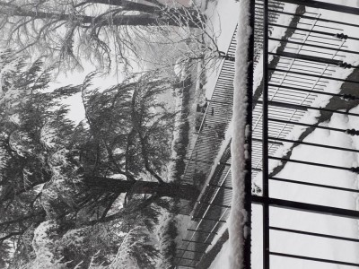 20210104_133533.jpg (192.46 KiB) Osservato 343 volte 20210104_133533.jpg