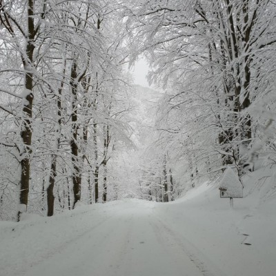 IMG_20210104_165736_625.jpg (190.01 KiB) Osservato 335 volte IMG_20210104_165736_625.jpg