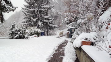 Qui non ubbidisce.... / IMG_0114.jpg IMG_0114.jpg