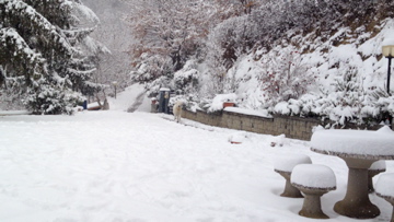 qui ubbidisce.... / IMG_0115.jpg IMG_0115.jpg