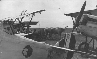 Aviano-aerei e buoi....JPG (16.78 KiB) Osservato 634 volte Aviano-aerei e buoi....JPG