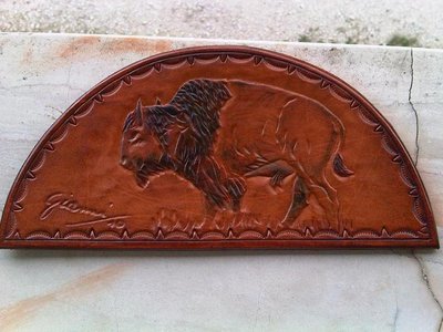 Bisonte1a.JPG (67.23 KiB) Osservato 630 volte Bisonte1a.JPG