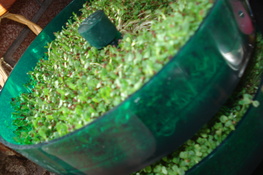 777777777777.jpg 777777777777.jpg