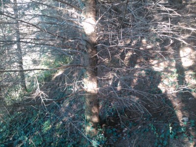 DSC_0414 (640x480).jpg (335.71 KiB) Osservato 762 volte DSC_0414 (640x480).jpg