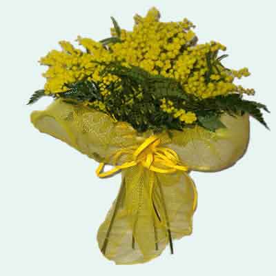 mimosa_bouquet.jpg mimosa_bouquet.jpg