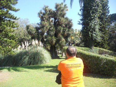 Sicilia Pasqua 2016 234.JPG (520.68 KiB) Osservato 18866 volte Sicilia Pasqua 2016 234.JPG