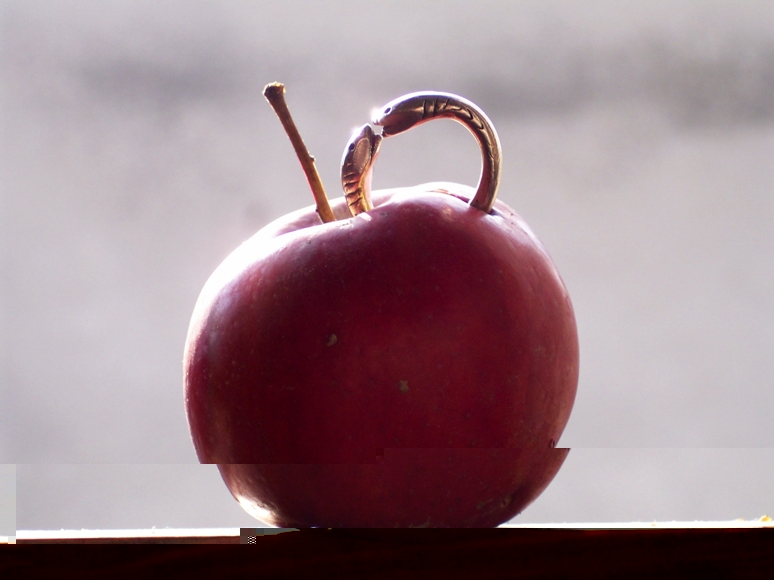 melaserpente.JPG melaserpente.JPG