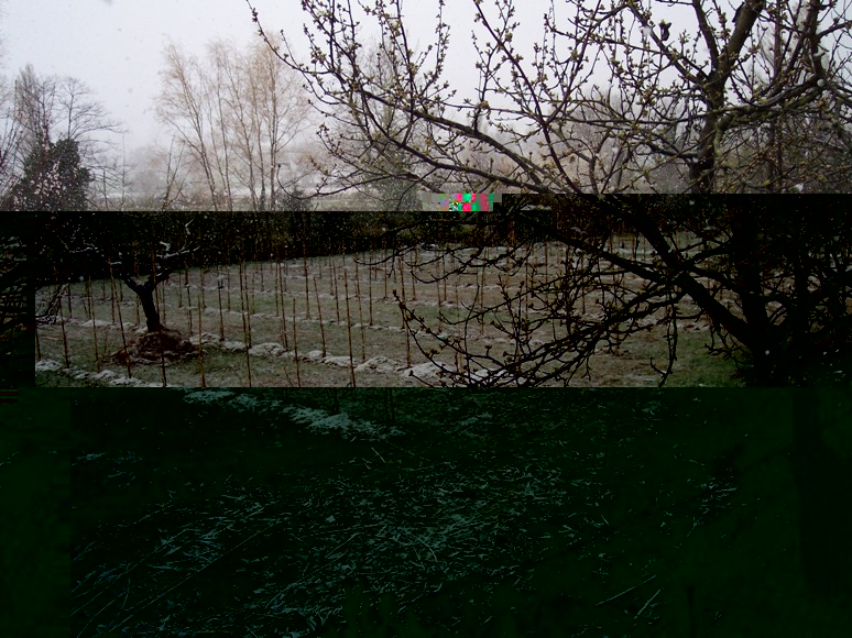 PRIMAVERA 2009.jpg PRIMAVERA 2009.jpg