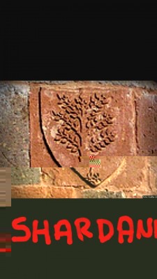 alvure d'Arborea.jpg (49.13 KiB) Osservato 714 volte alvure d'Arborea.jpg