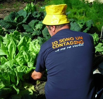 Vicino alla cicoria mantovana / DSCN2595.JPG DSCN2595.JPG