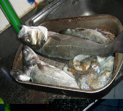 028.JPG (300.17 KiB) Osservato 524 volte 028.JPG