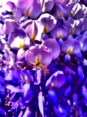 image.jpg (115.2 KiB) Osservato 668 volte image.jpg