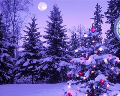 natale2.jpg (51.29 KiB) Osservato 849 volte natale2.jpg