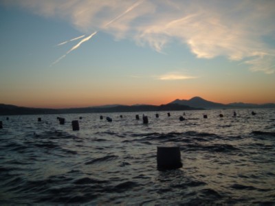 Immagine 059 modified.jpg Immagine 059 modified.jpg