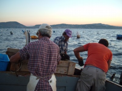 Immagine 060 modified.jpg Immagine 060 modified.jpg