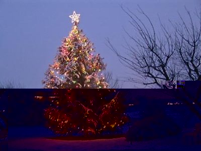 albero-natale.jpg (34.11 KiB) Osservato 681 volte albero-natale.jpg