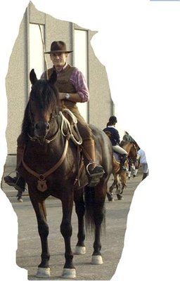 delfiVr1.JPG (71.56 KiB) Osservato 711 volte delfiVr1.JPG