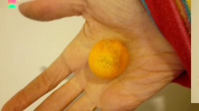 20171230_125200.jpg (34.42 KiB) Osservato 438 volte 20171230_125200.jpg