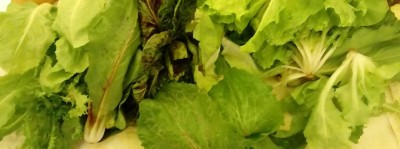 20180101_160256-1.jpg (47.37 KiB) Osservato 434 volte 20180101_160256-1.jpg