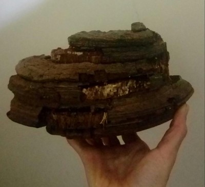 20180109_162621-1.jpg (64.77 KiB) Osservato 526 volte 20180109_162621-1.jpg