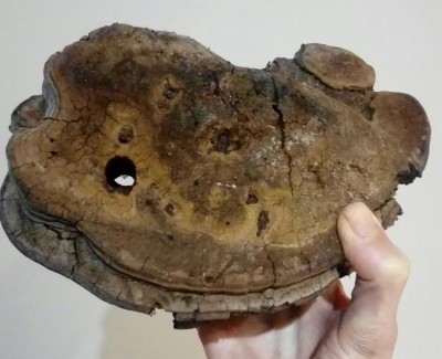 20180109_180727-1.jpg (85.89 KiB) Osservato 599 volte 20180109_180727-1.jpg